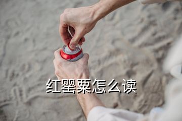 紅罌粟怎么讀