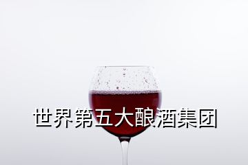 世界第五大釀酒集團(tuán)