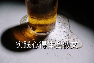 實(shí)踐心得體會(huì)做文