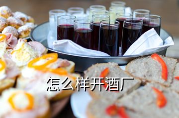 怎么樣開酒廠