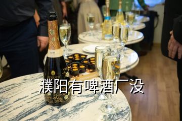 濮陽有啤酒廠沒