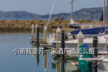 小弟我要開(kāi)一家酒廠酒怎么釀