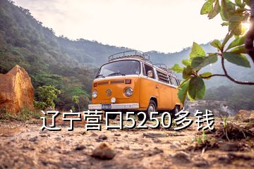 遼寧營口5250多錢