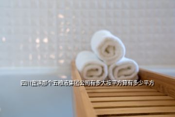 四川宜濱那個(gè)五糧液集團(tuán)公司有多大按平方算有多少平方