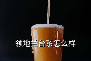 領(lǐng)地蘭臺(tái)系怎么樣