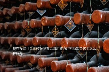 現(xiàn)在投資什么比較好呢看見四川散酒廠招商加盟這個怎么樣好嗎