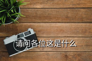 請(qǐng)問各位這是什么