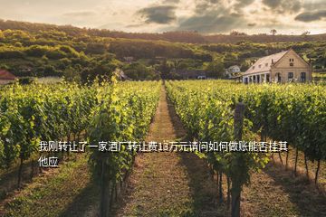 我剛轉讓了一家酒廠轉讓費13萬元請問如何做賬能否掛其他應