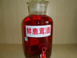 鹿茸怎樣泡酒？鹿茸用什么酒泡比較好