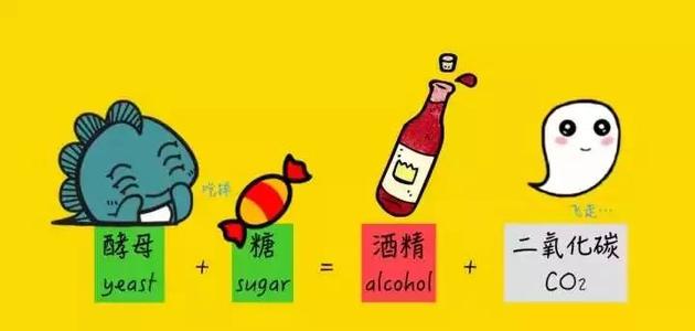 紅酒多少度？是什么影響紅酒的度數(shù)？