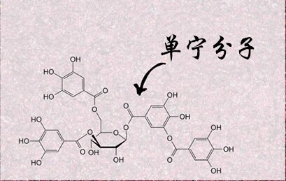 紅酒單寧是什么意思？不同紅酒中的單寧含量是多少？