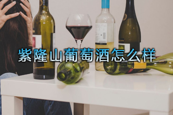 紫隆山葡萄酒怎么樣