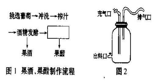 果酒蒸餾制作方法