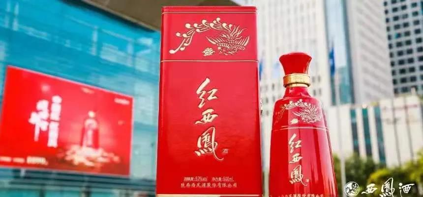 重磅！自今天起紅西鳳正式開啟“配額制”