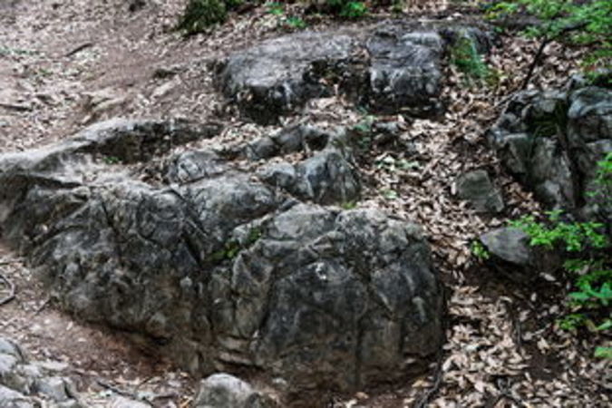 山里泉(山里泉在哪個(gè)地方)