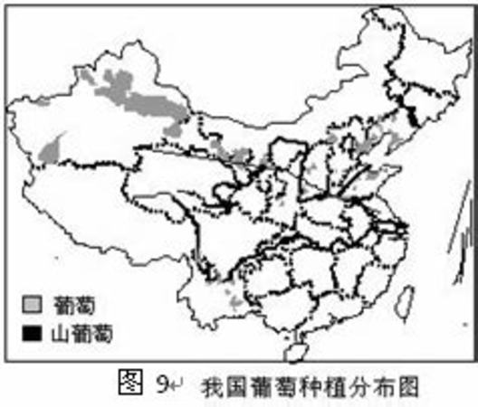 屬于國家一類保護動物的是,我國葡萄種植始于哪個朝代