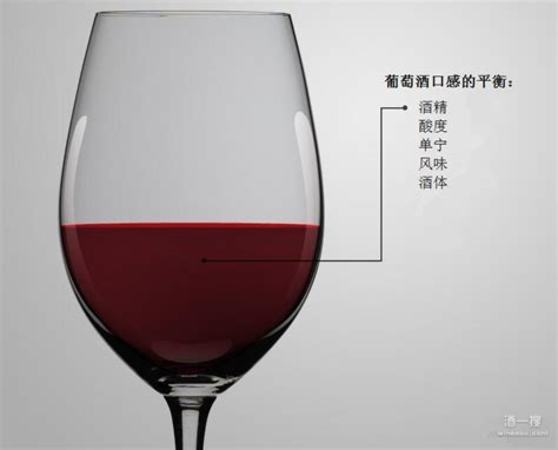 評價(jià)葡萄酒好喝的詞語,如何評價(jià)葡萄酒好喝