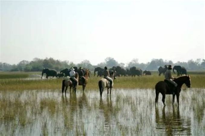 沙灣·紅酒公園·再進南山,紅酒上的風(fēng)景圖是什么樣的