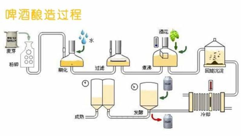 什么葡萄適合釀紅酒,釀葡萄白酒用什么葡萄