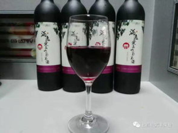 常喝紅酒有什么好處和壞處(常喝紅酒的好處和壞處)