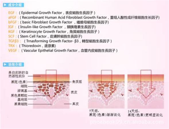 私人定制酒怎么做銷售,定制酒怎么做市場(chǎng)