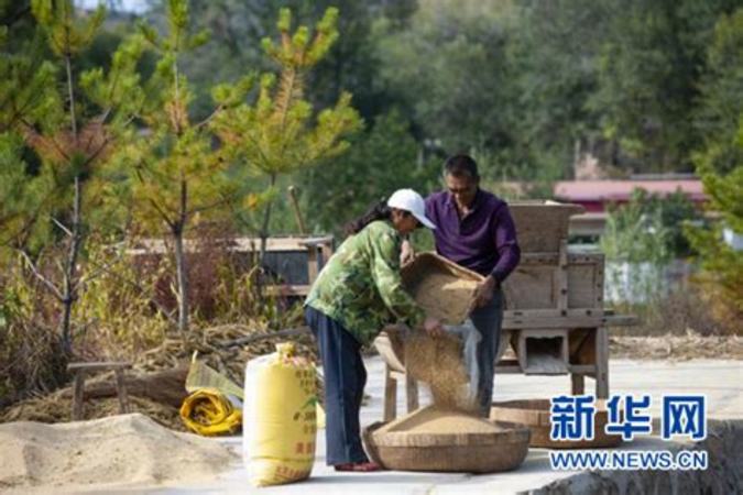 呂梁有什么酒,山西呂梁有什么著名景點